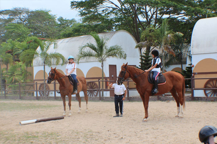 gallop - what to do in punggol