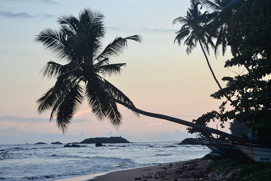 surfing sri lanka