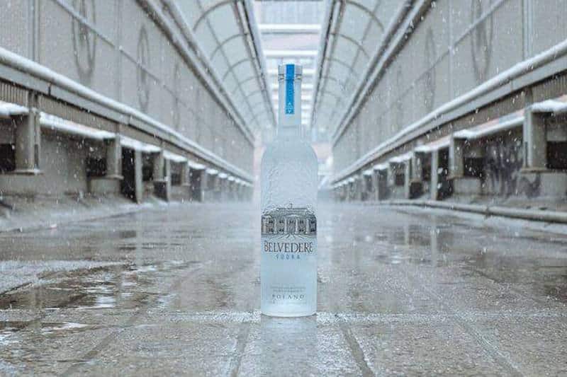 belvedere-vodka