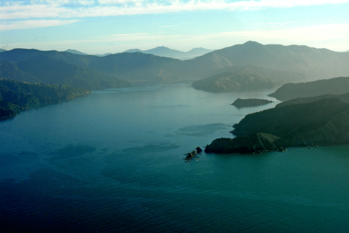 Port Underwood: Phillip Capper