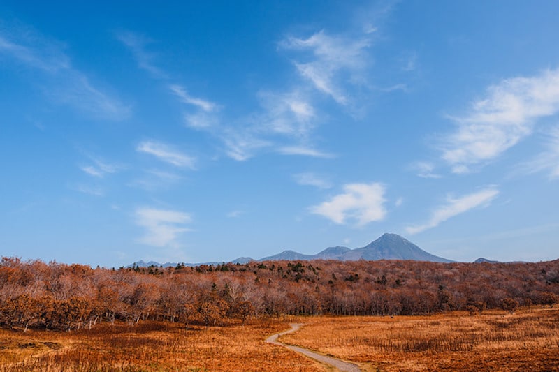 autumn in hokkaido