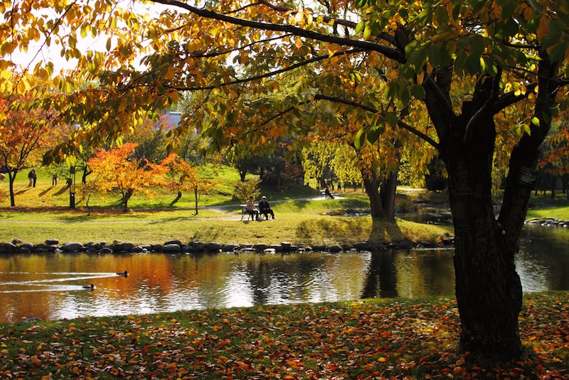 autumn in hokkaido