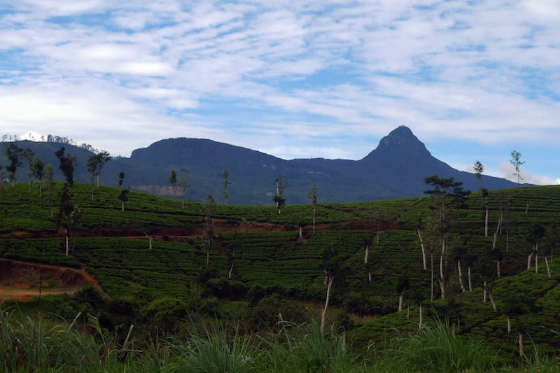 Adam's Peak. Image courtesy of Purblind.