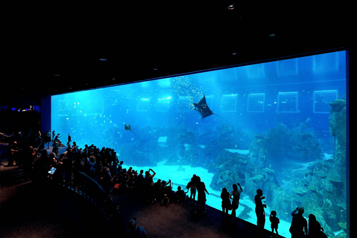 sea-aquarium - sentosa christmas 2016