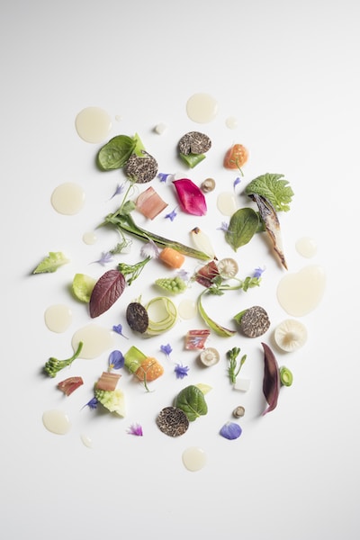 Food - Vegetable garden, components