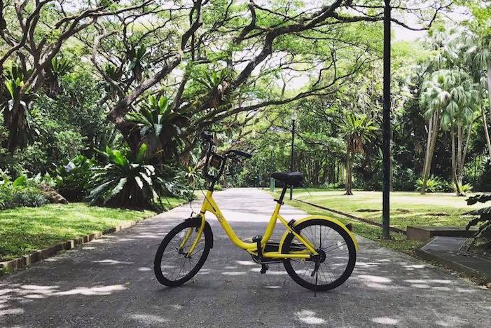 bike sharing singapore review