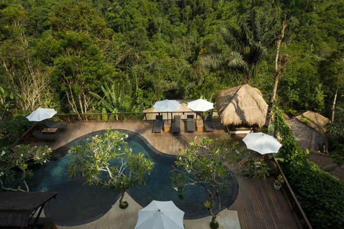 best jungle resorts asia