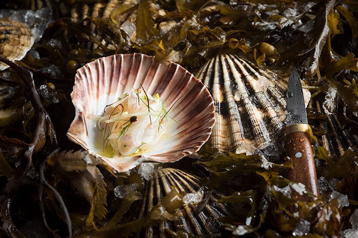 FiSK Seafoodbar & Market - Raw Hand-Dived Scallops_credit daphotographer John Heng